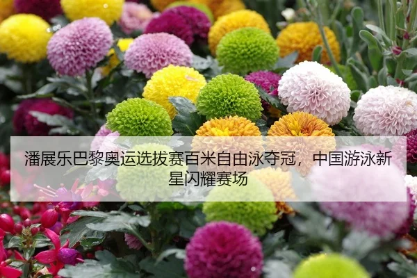 潘展乐巴黎奥运选拔赛百米自由泳夺冠，中国游泳新星闪耀赛场
